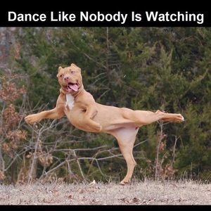 Meet your Posher, Sally